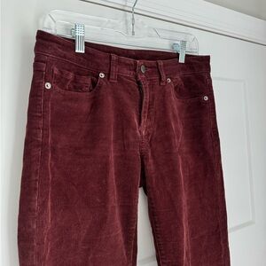 Patagonia burgundy, corduroy straight leg pants